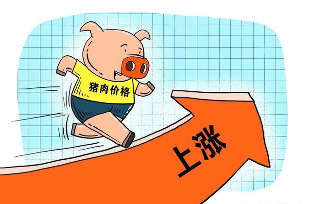 最新资讯 第39页